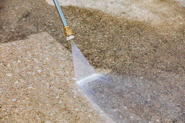 Best Animal Enclosure Cleaning  in Valley Mills, TX